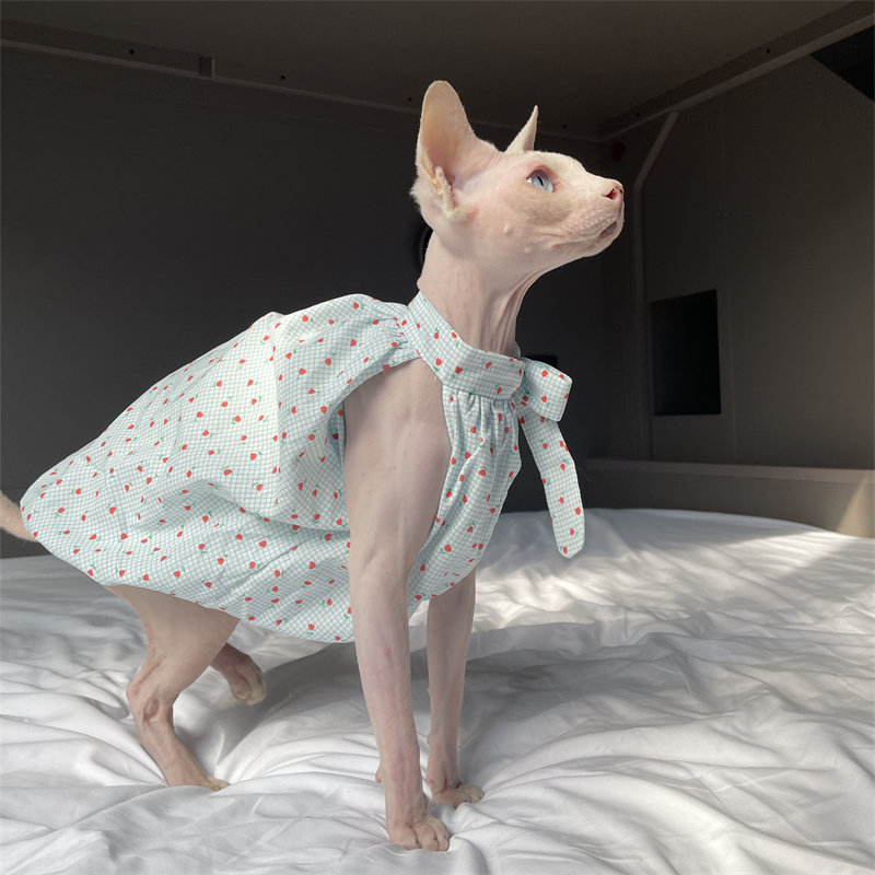 Roupa para Gatos de Verão: Ves - Summer Light Clothing avaliação e preço