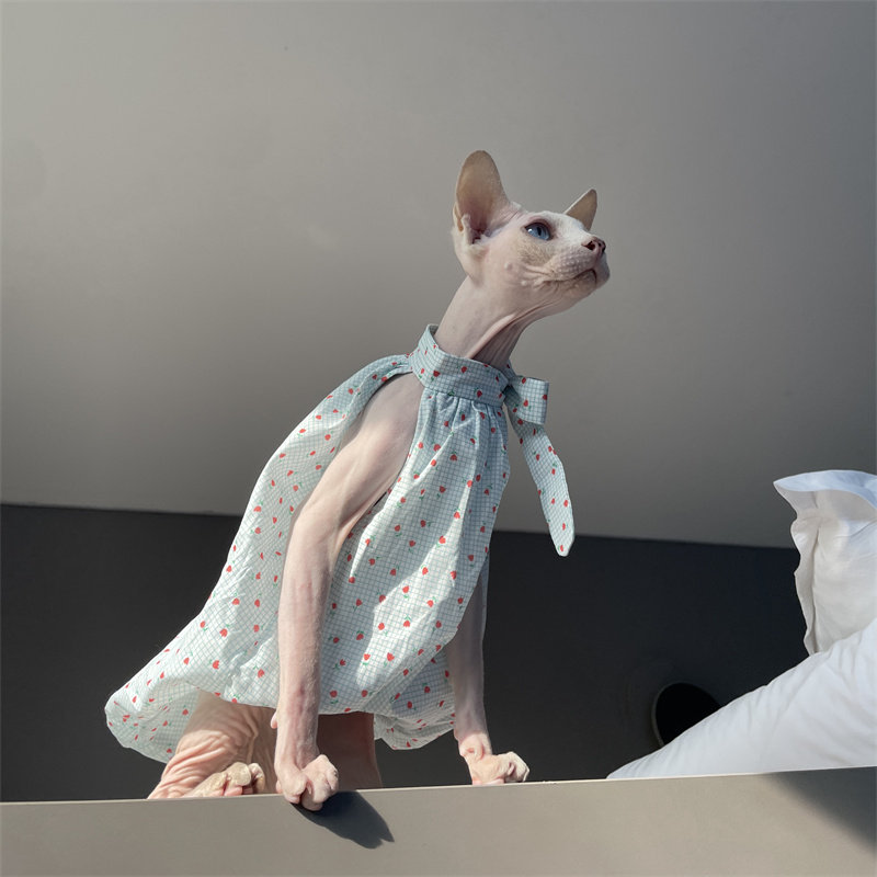 Roupa para Gatos de Verão: Ves - Summer Light Clothing avaliação e preço