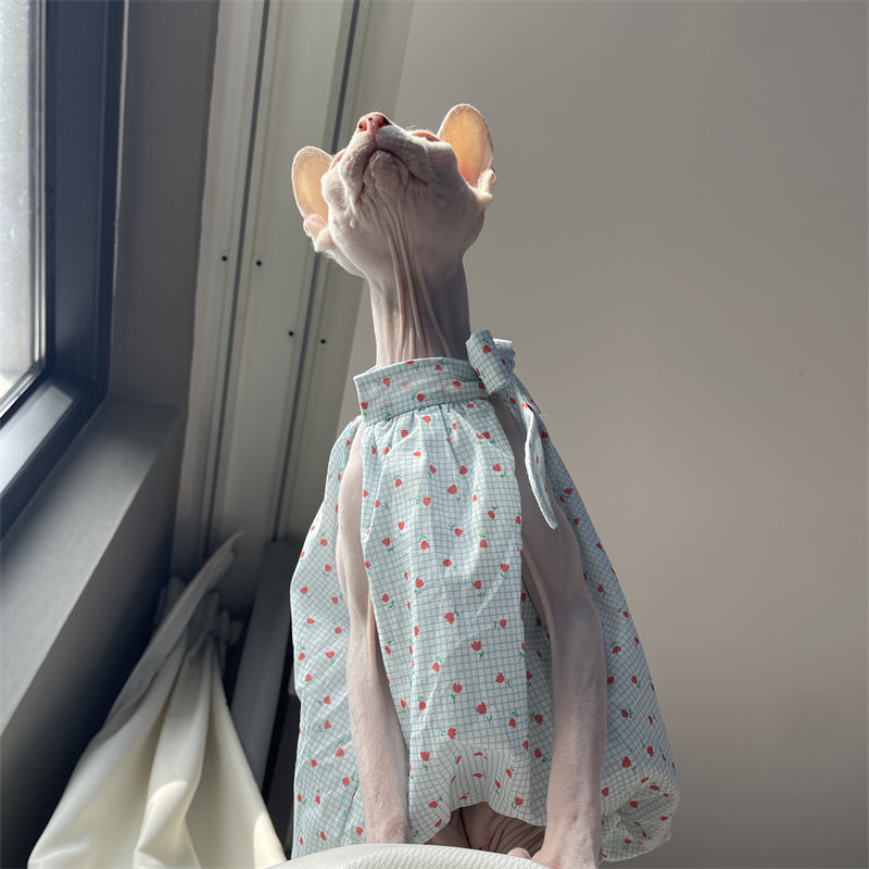 Roupa para Gatos de Verão: Ves - Summer Light Clothing avaliação e preço
