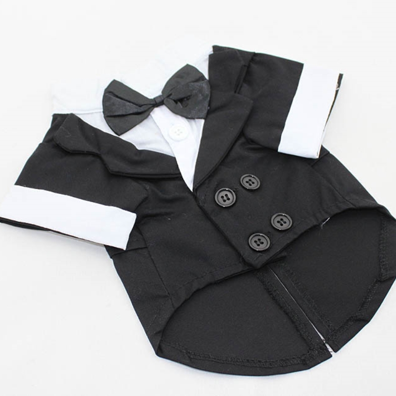 Camisa para cachorro, roupas p - Summer Dog Clothing avaliação e preço