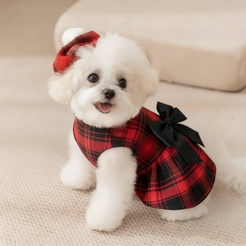 Roupa para Cães e Gatos: Colet - Summer Dog Clothing avaliação e preço